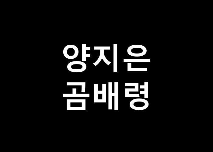 양지은 곰배령 풍경 속의 이야기는 어떤 것일까