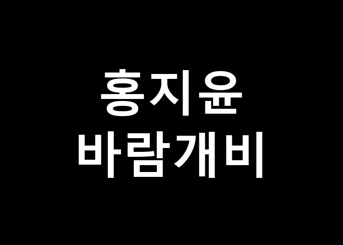 홍지윤 바람개비: 그 바람은 어디서부터 시작될까